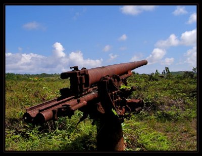 WWII Japanese gun/cannon