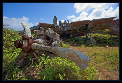 engine of a WWII plane wreck