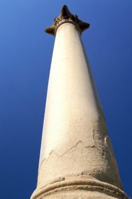 A119_PICT2290.jpg