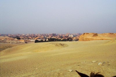 A029_PICT1463-R-01.jpg