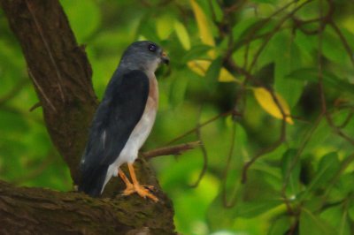 DSC_2770.jpg