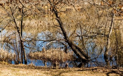 LR-2652_2.jpg   Winter Pond