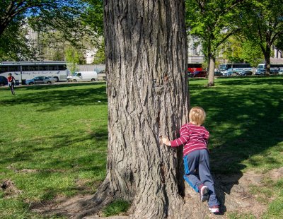 LR-3542_2.jpg__Hide & Seek with Grams. National Mall, Washington, DC