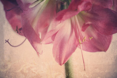 g2/18/553318/3/148698045.mkwFH9mb.jpg