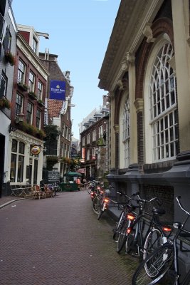 _MG_4541.jpg
