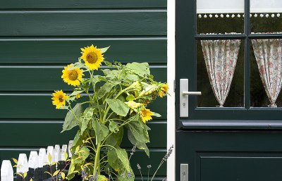 Volendam/Marken