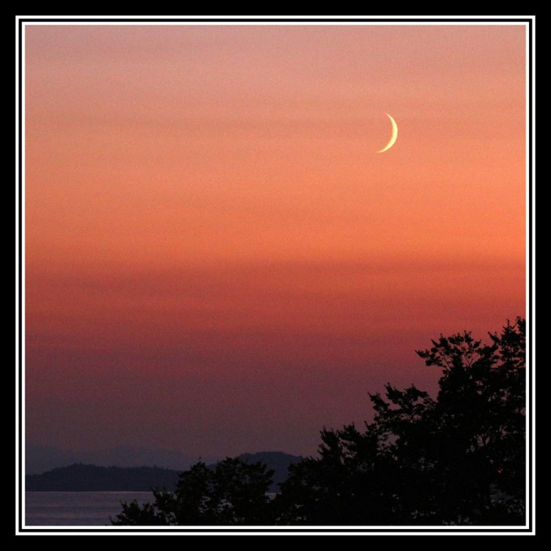 Crescent Moon