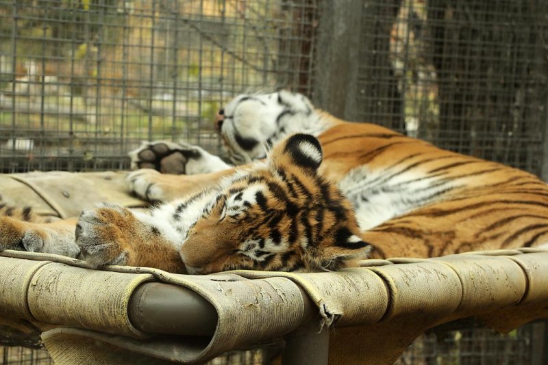 Nap time