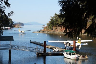 Butchart Cove