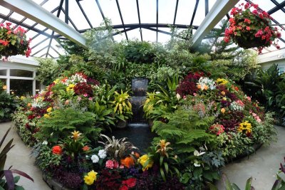 The Flower Room