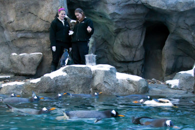 Excuse me ladies, enough with the chit-chat...come on where's our fish??!!!