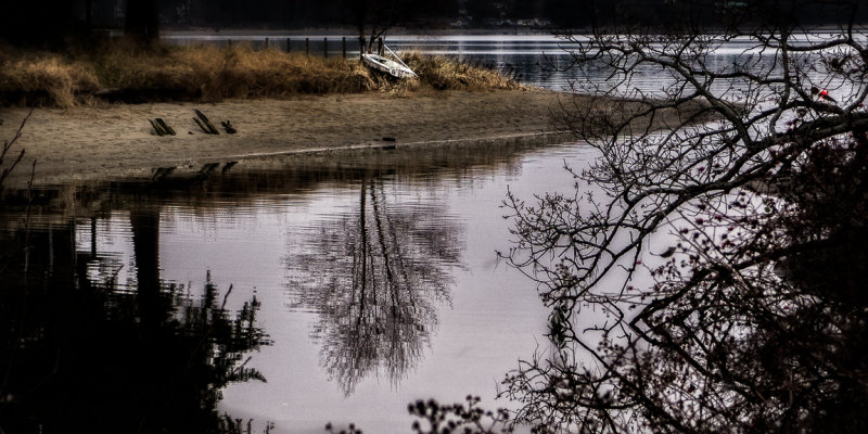 Tree reflection and boat, Beaver Creek, Vancouver Island