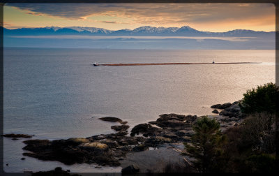 Tug boats and log boom, Vancouver Island