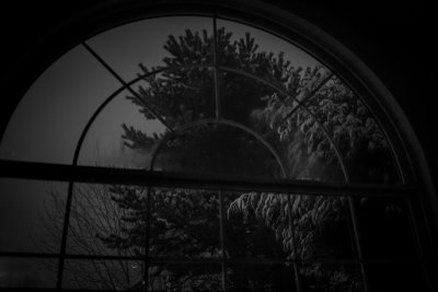 View out our living room window on a snowy night