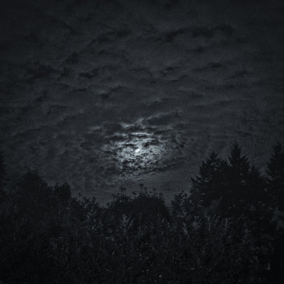 Moonlit sky