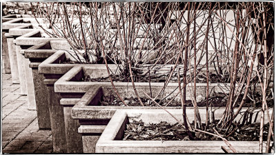 Planter boxes in Whistler Village