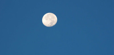 Moon during the Early morning hours