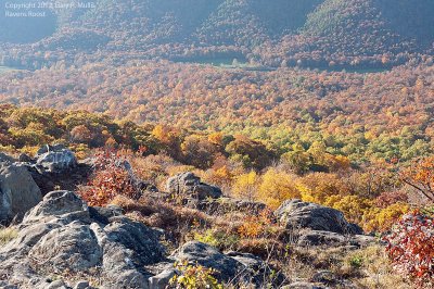 A view of the Valley.tif