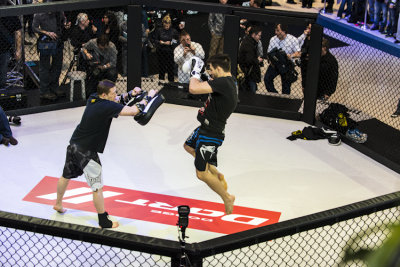 Carlos Condit