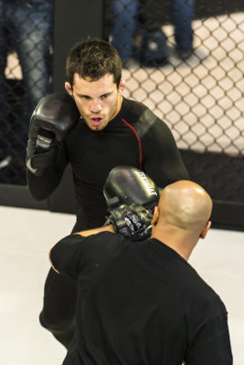 Jake Ellenberger