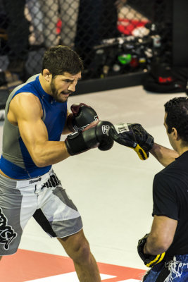 Patrick Cote
