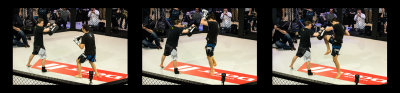 Carlos Condit