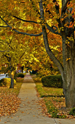 Autumn on Main