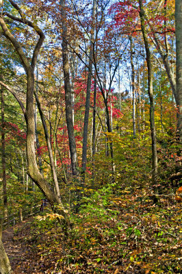 trail3.jpg