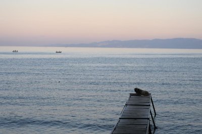 _DSC5082.jpg
