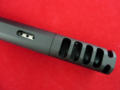 Brazos Custom - BCG Pro Sx, 2-Tone