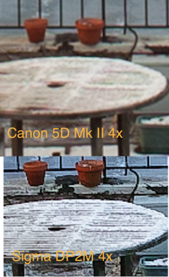 Canon 5D vs Sigma DP-2M table 4x