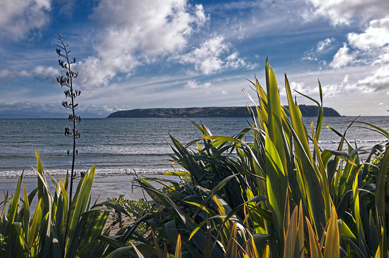 Titahi Bay with Mana Island in the distance