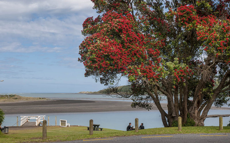 Raglan