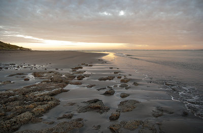 Raglan Harbour at Dawn