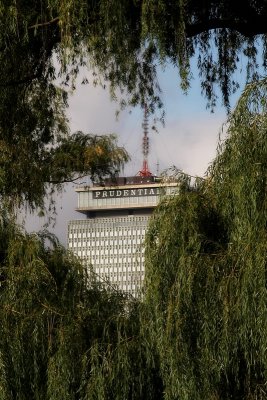 IMG_6850_crop.JPG