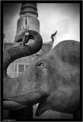 Walkabout