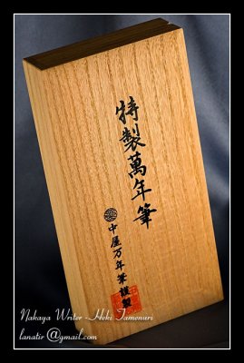 Nakaya Writer Heki Tamenuri
