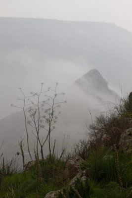 IMG_2751.jpg