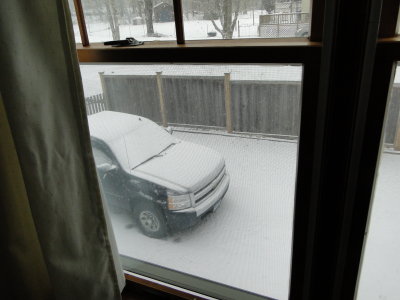 beforedriveway.JPG