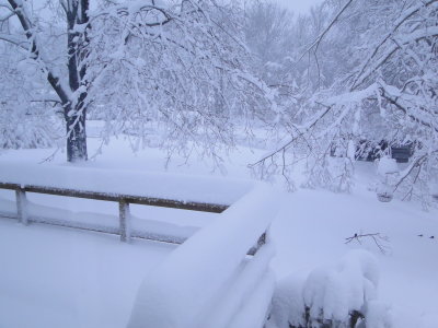 postdeckbirdfeeder.JPG