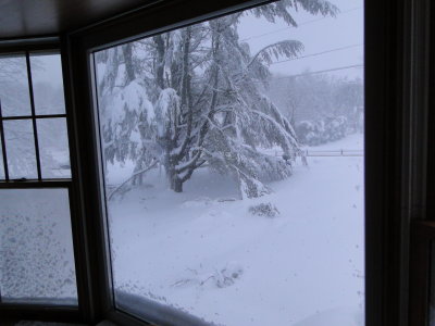 postdriveway.JPG