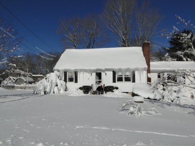 frontyard.JPG