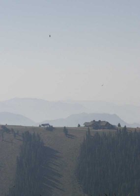 _MG_3385.jpg