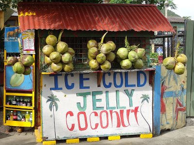 Ocho Rios Jamaica 7.JPG