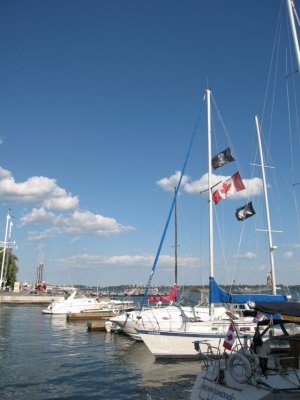 pic 185.jpg