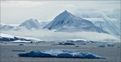 Paradise Harbor Antarctica