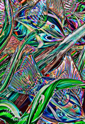 IRIDESCENT GLASS FISH ABSTRACT_3683a.jpg