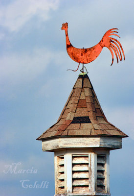 ROOSTER WEATHERVANE-3215.jpg