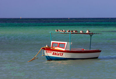 PALM-BEACH,  ARUBA-3821.jpg