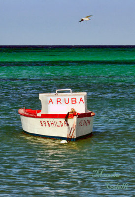 ARUBA BOAT3814.jpg